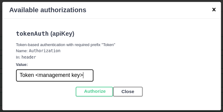 swagger token key